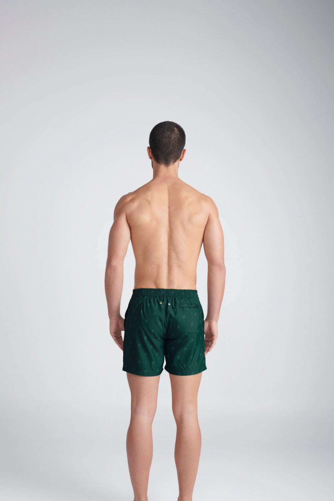 ANCORA The Greeny Trunk Briefs