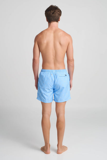 Calzoneta de Hombre ANCORA Ysolde Trunk Cinta Gris