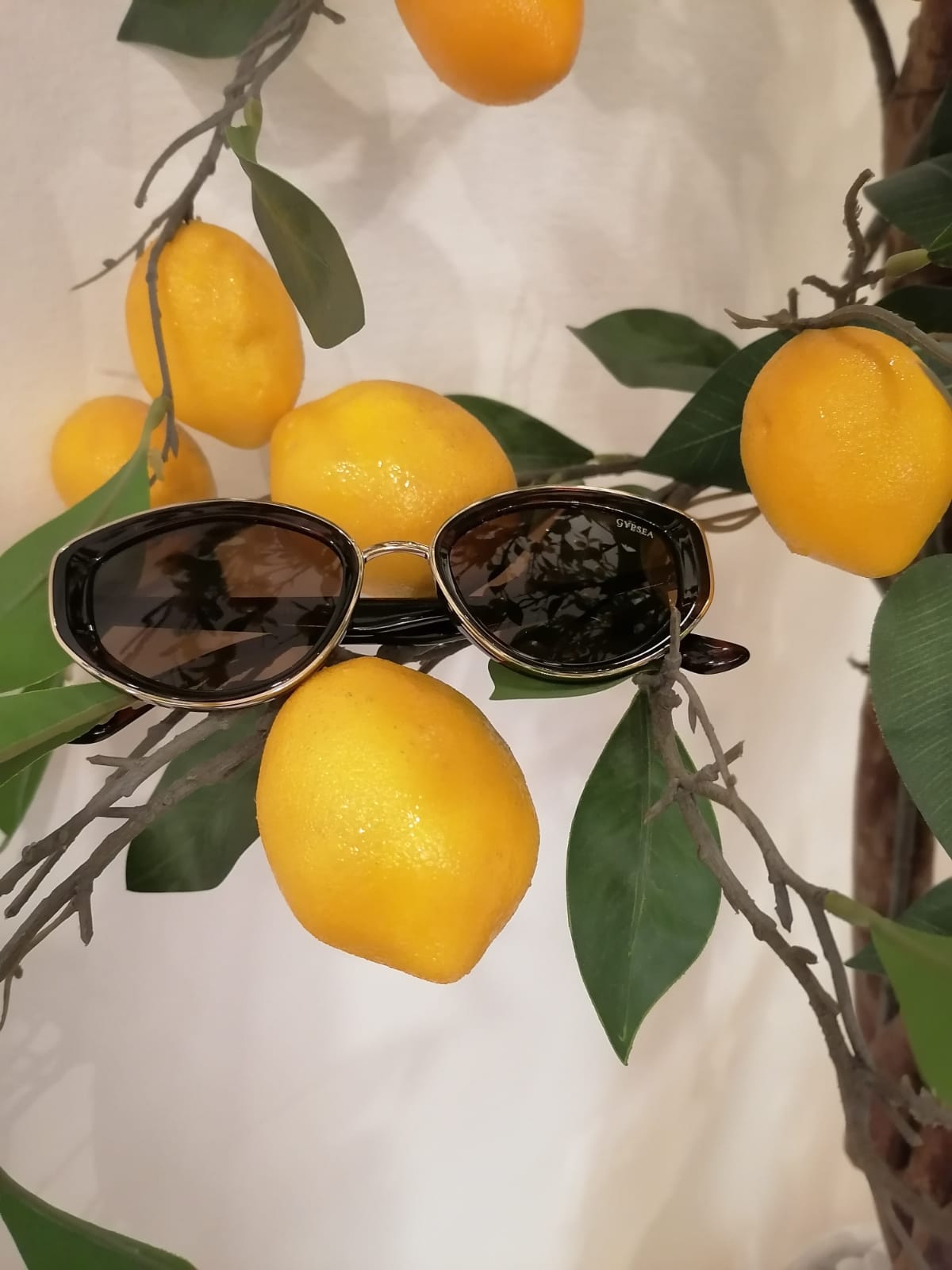Lentes de sol con protección UV
