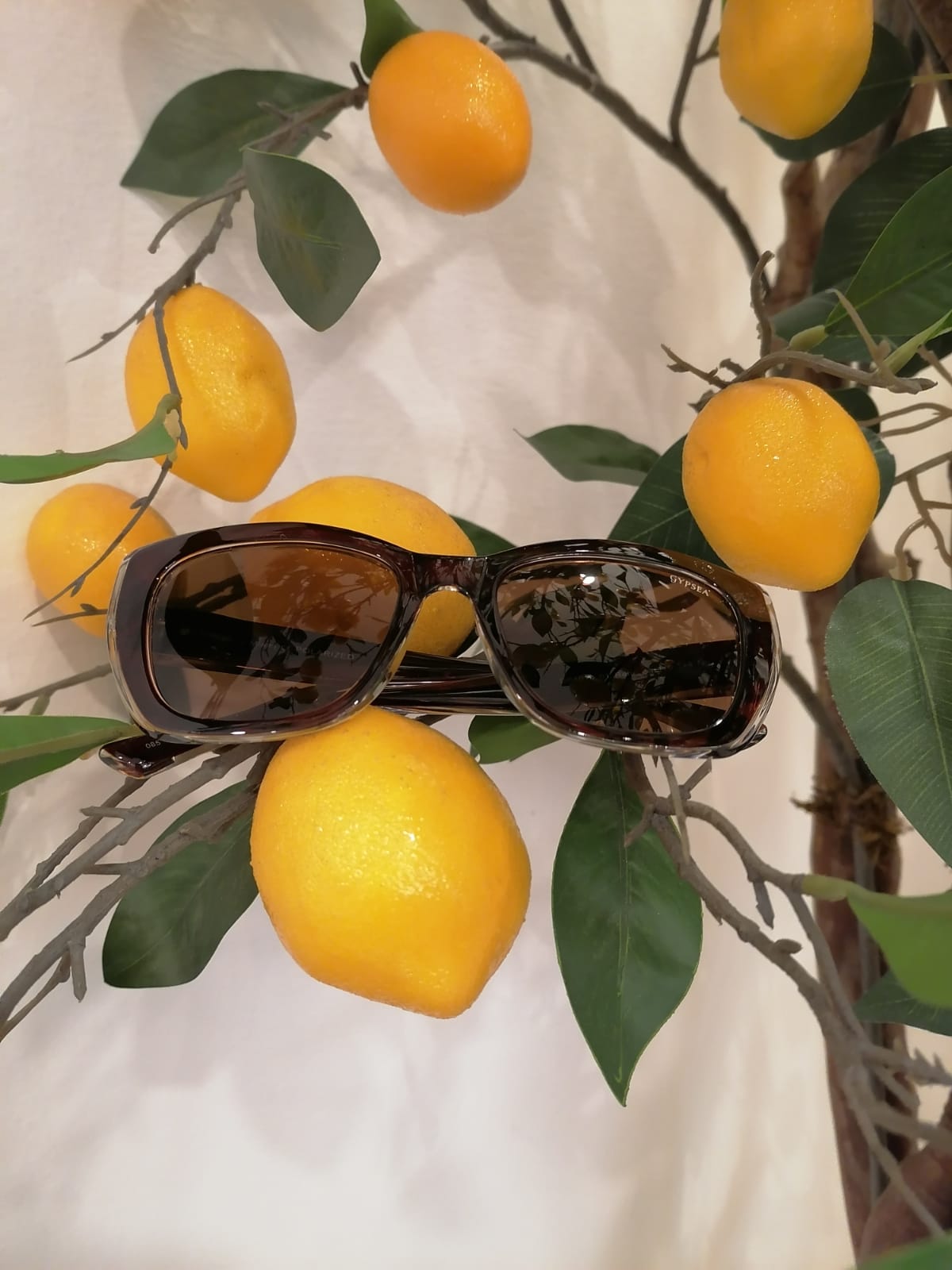 Lentes de sol con protección UV